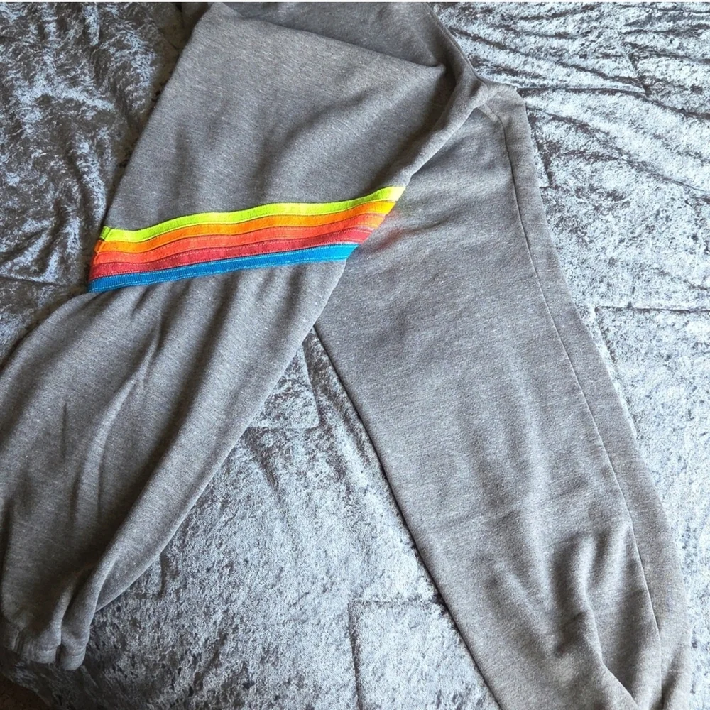 Avaitor Nation Gray Sweatpants with Neon Stripes - Picture 3 of 7